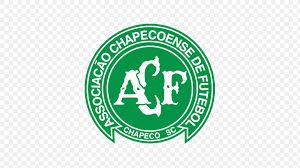Torcida de futebol com bandeiras verdes (imagem ilustrativa)